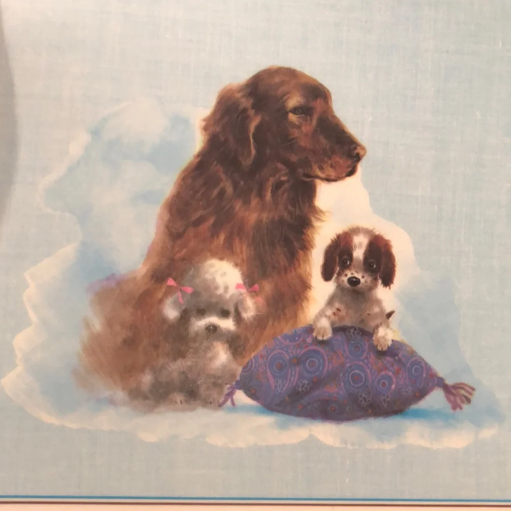 NWT Reversible Pet Bowl Dog food or water Plasticized Floor Placemat!